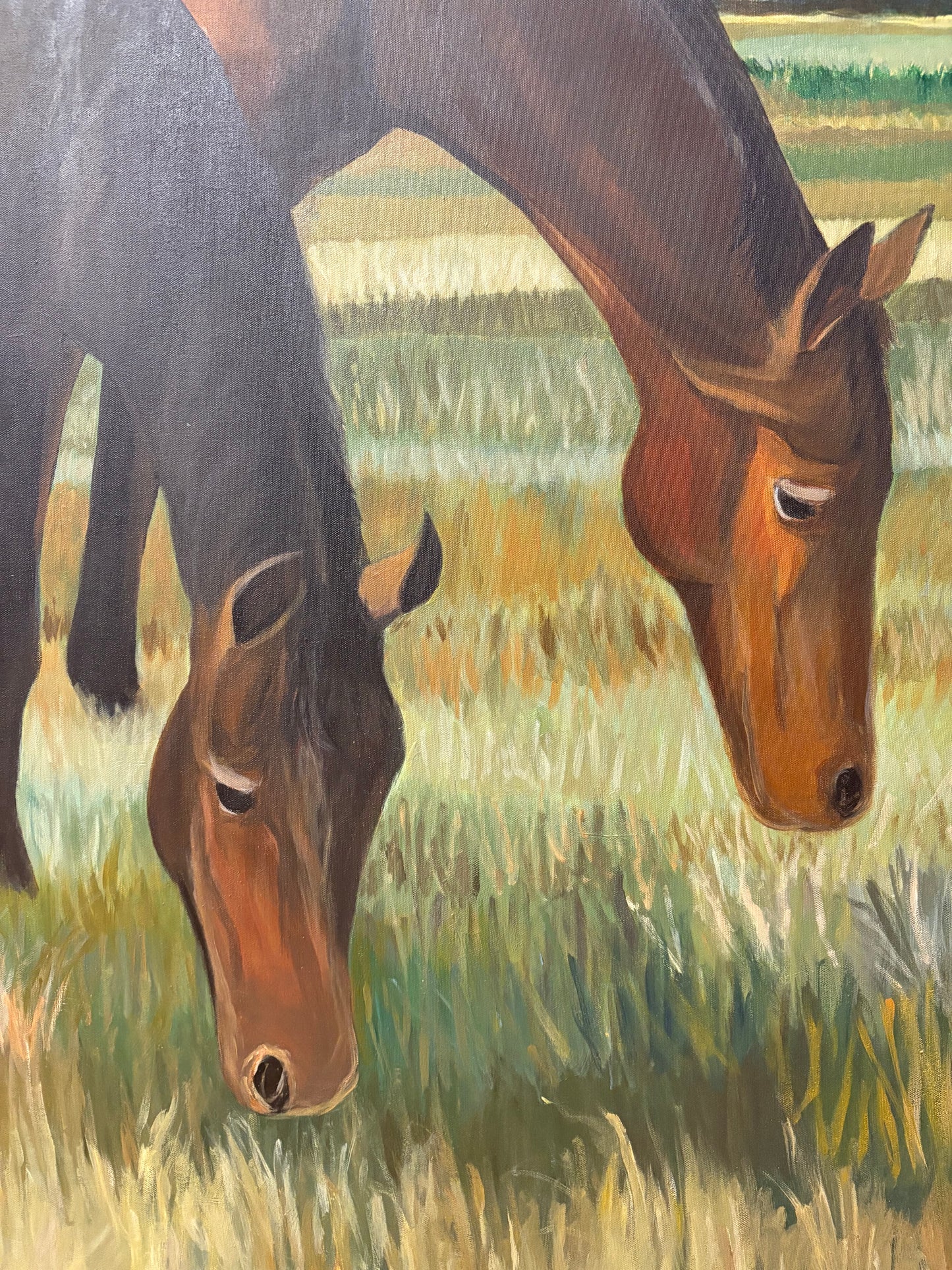 "Buddy Sour" 48" x 50"
