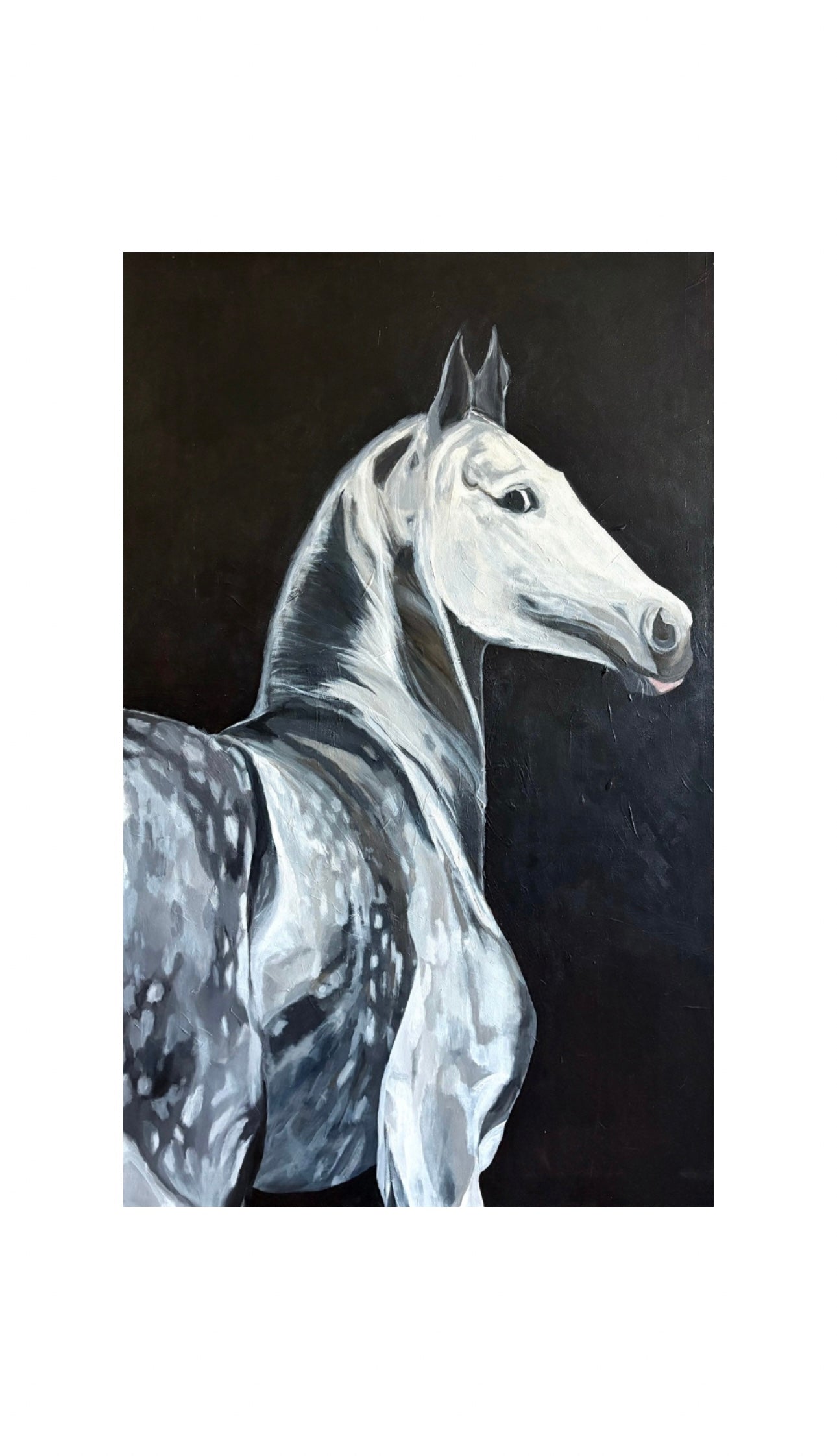 Photo of large acrylic painting sized 30 x 48 inches of appaloosa horse with grey white and black colors has spots and black background