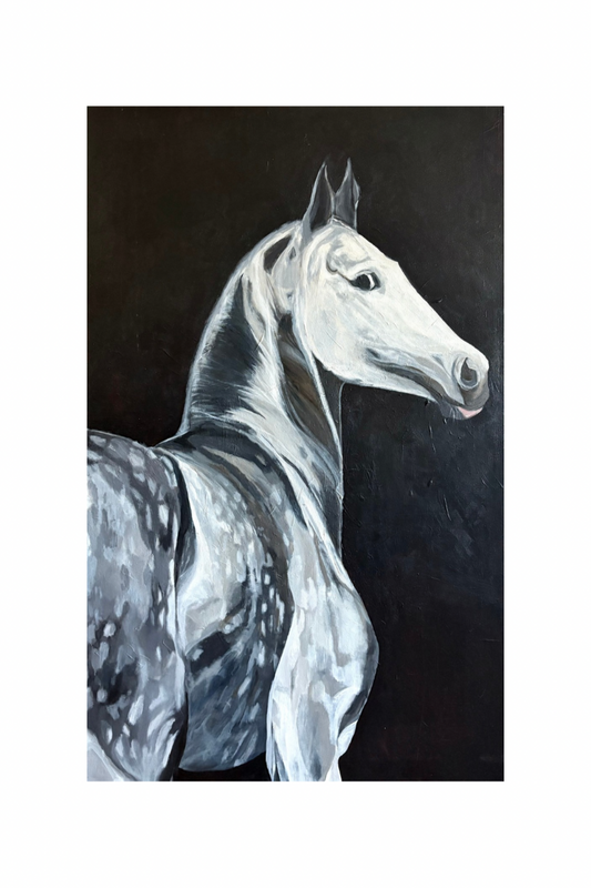 Photo of large acrylic painting sized 30 x 48 inches of appaloosa horse with grey white and black colors has spots and black background